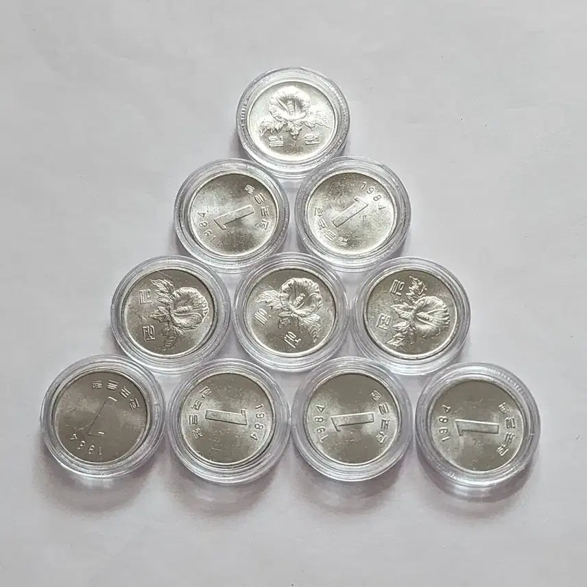 [BUNJANG] 1984 10 Won Coin Bundle Set / (특년도)1984년 10원 주화               10개 일괄