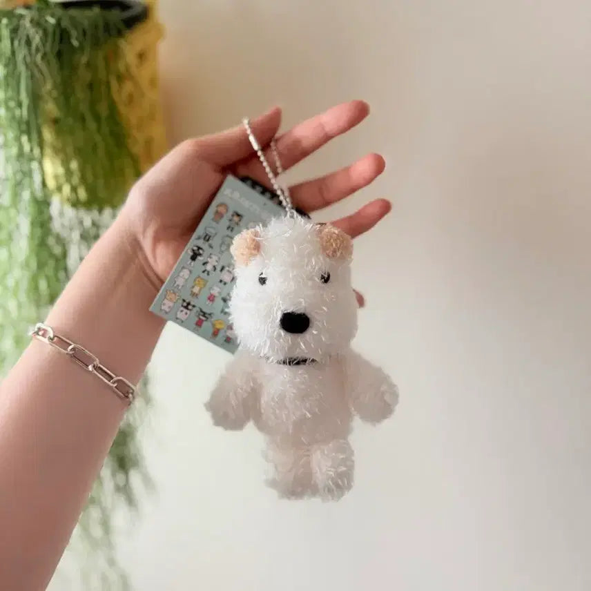 [BUNJANG] Aranzi Aronzo Tetsu Dog Plush Keychain / 아란지아란조 테츠 인형키링