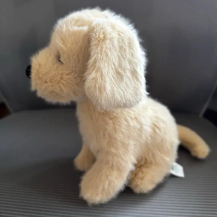 [BUNJANG] Jellycat Golden Puppy Plush / jellycat 골든 퍼피 젤리캣 정품