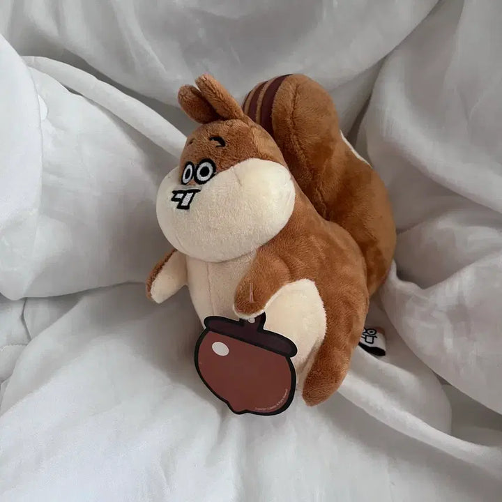 [SOLD OUT] 똘망똘망다람이 인형