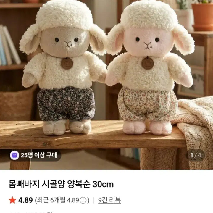 [BUNJANG] Yang Bok Sun 30cm Doll / [새상품] 몸빼바지 시골양 양복순 30cm