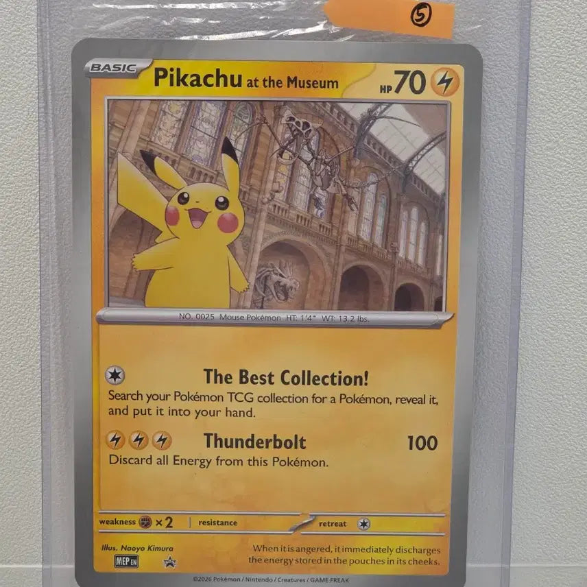 [BUNJANG] London Museum Pikachu Jumbo Promo Card Set / 런던 뮤지엄 피카츄 점보 프로모 6장 랏