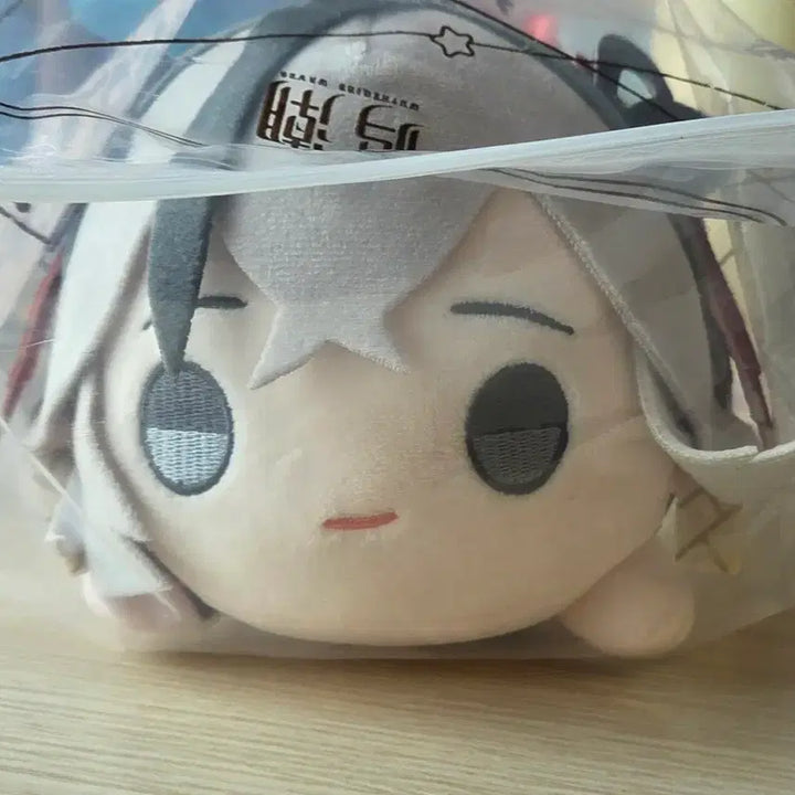 [BUNJANG] Camellia Dolling Plush Doll (Sealed) / (미개봉) 공식 명조 카멜리아 철퍼덕 인형 누이