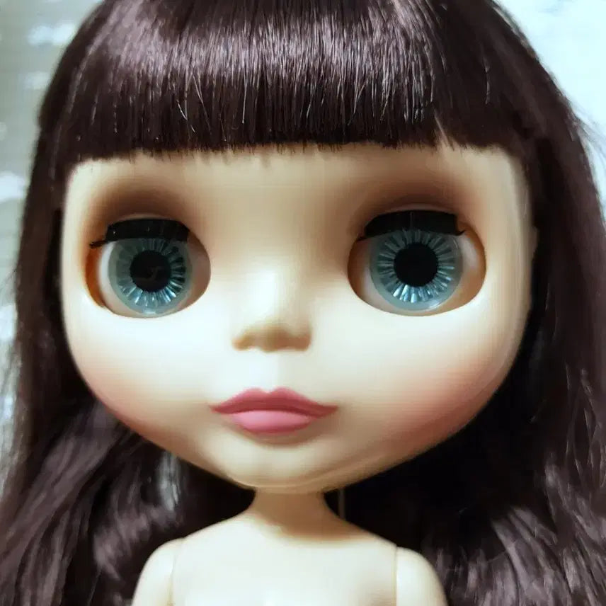 [SOLD OUT] 레이디 카멜리아 브라이스