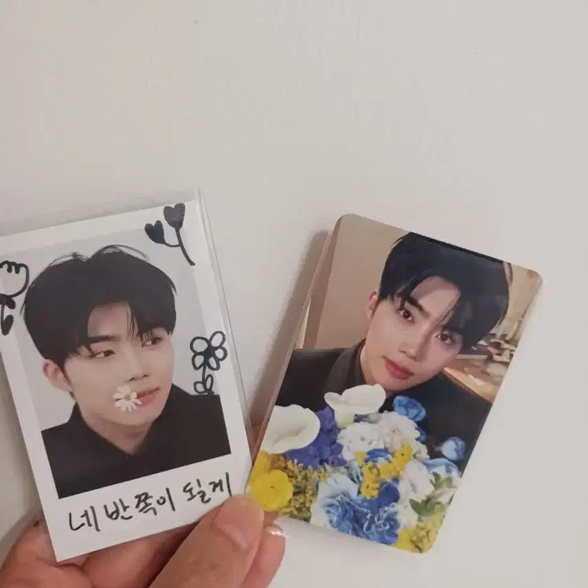 [BUNJANG] ZEROBASEONE Park Gunwook Reflow Set Photocard / 제베원 박건욱 리플로우세트