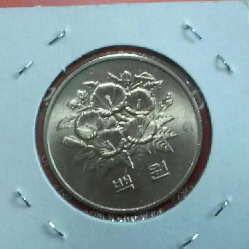 [BUNJANG] 1981 Bank of Korea 100 Won Coin / 1981년 한국은행 100원화 동전