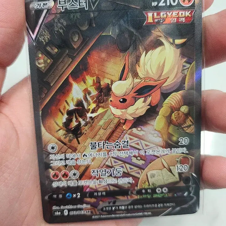 [BUNJANG] Pokemon Card Booster V Special Edition / 포켓몬카드 부스터 V 특일
