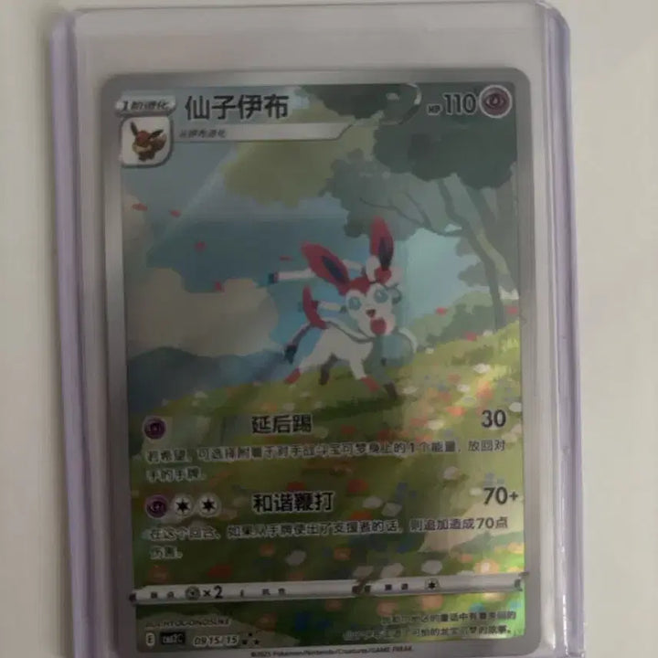 [BUNJANG] Limited Edition Chinese Nymphia Master Ball Holo Card Bundle / 포켓몬스터 중국판 한정 일러스트 님피아