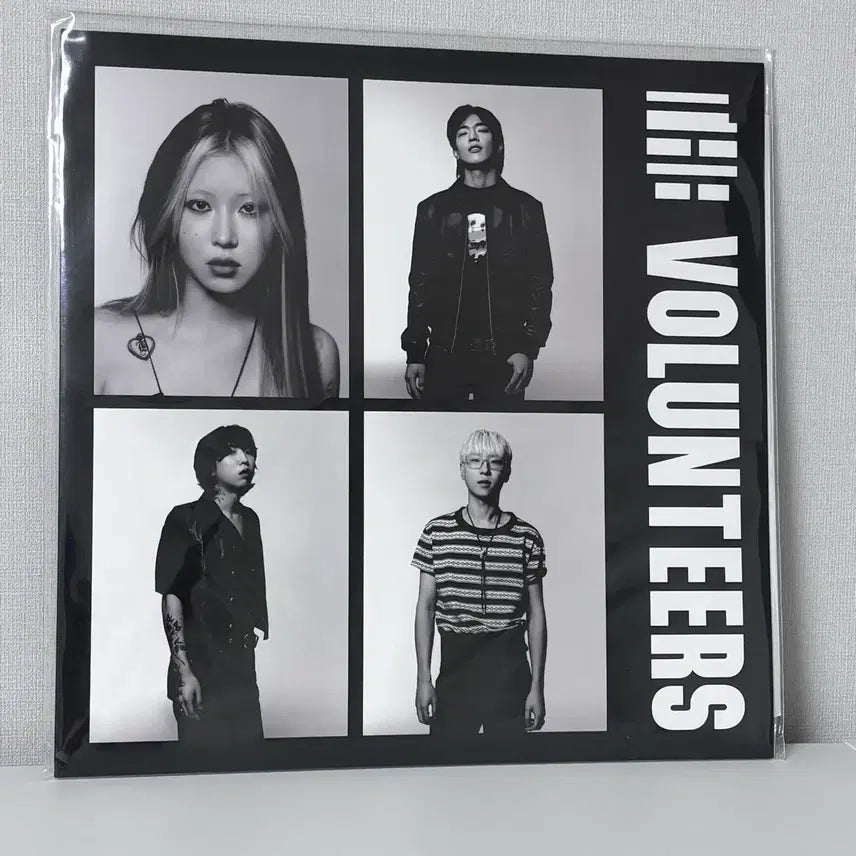 [BUNJANG] The Volunteers LP Vinyl Record / 9월전까지판매) 더발룬티어스 lp
