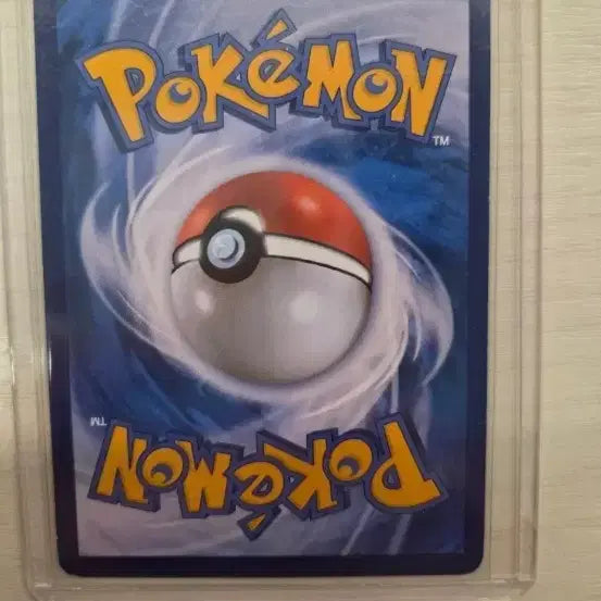 [BUNJANG] Pokemon Card Blastoise &amp; Wailord GX Tag Team / 포켓몬 카드 거북왕&amp;팽도리 GX 태그팀