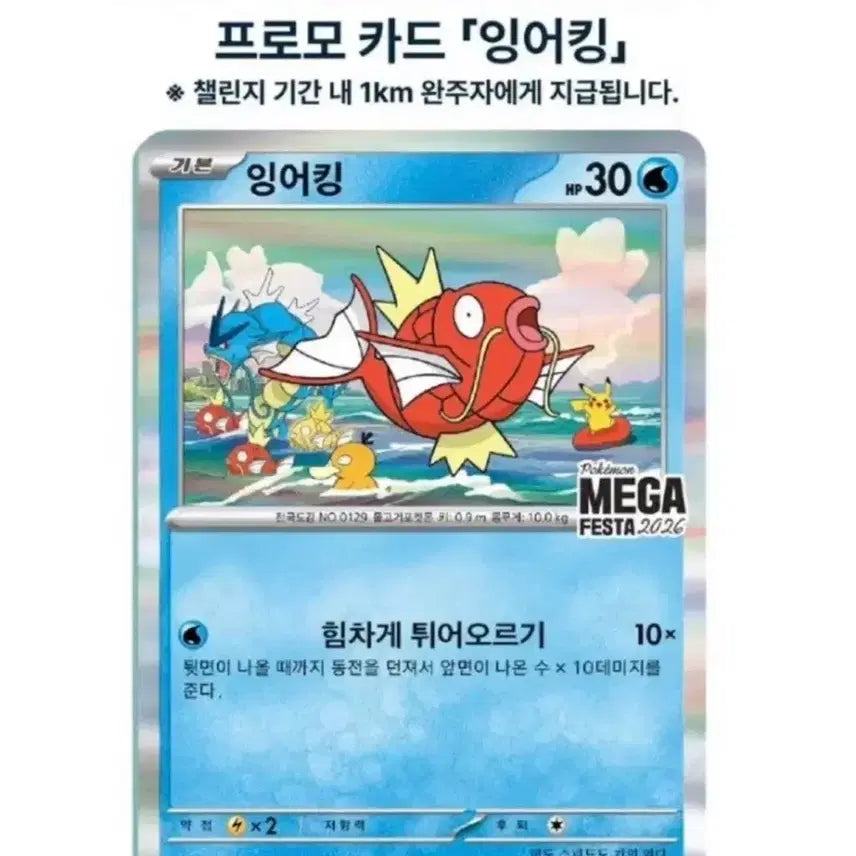 [BUNJANG] Gyarados Promo Card / 잉어킹 프로모카드