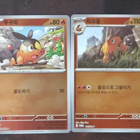 [BUNJANG] Pokemon Card Meganium EX, Delphox EX Set Bundle / 포켓몬 카드 메가메가니움ex, 메가염무왕ex 세트 일괄 판매합니다.
