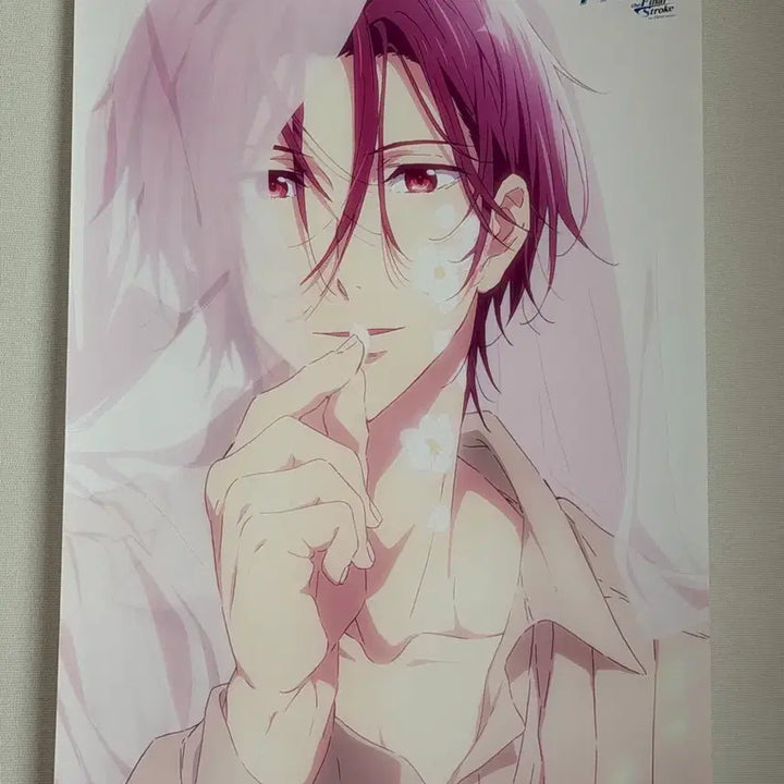 [BUNJANG] Free! Matsuoka Rin Tapestry Bundle Set / 프리 free! 마츠오카 린 태피스트리 2종 일괄판매