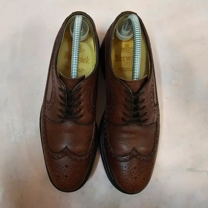 [SOLD OUT] 버윅 남성 윙팁 구두 250