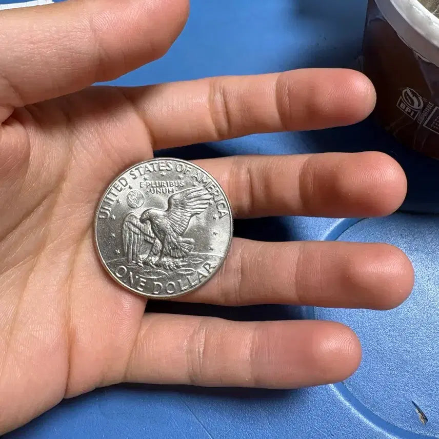 [BUNJANG] Eisenhower Dollar Coin - Random Year / 랜덤으로 대형 아이젠하워 달러 하나 팔아요