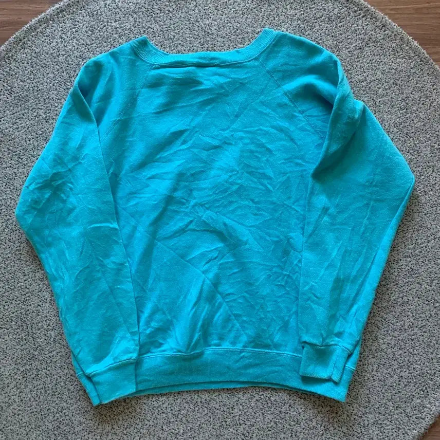[BUNJANG] Heinz Vintage Plain Sweatshirt / 헤인즈 빈티지 플레인 스웻