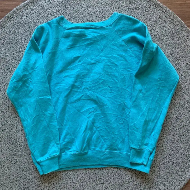 [BUNJANG] Heinz Vintage Plain Sweatshirt / 헤인즈 빈티지 플레인 스웻