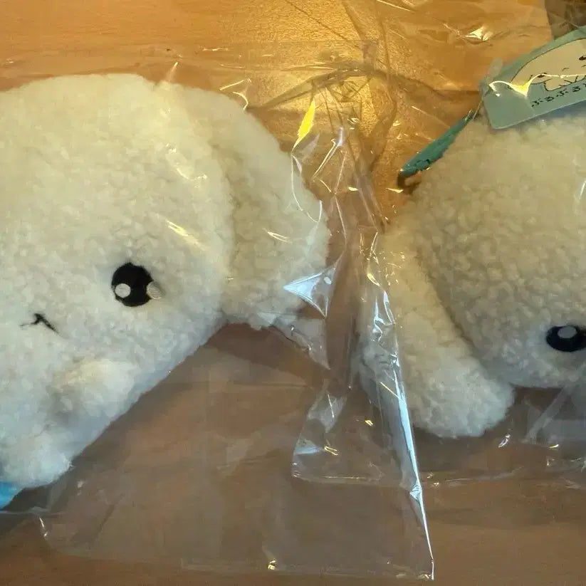 [BUNJANG] Buruburu Dog Plush Pouch (Sealed) / [미개봉] 부르부르도그 인형 파우치 판매합니다!