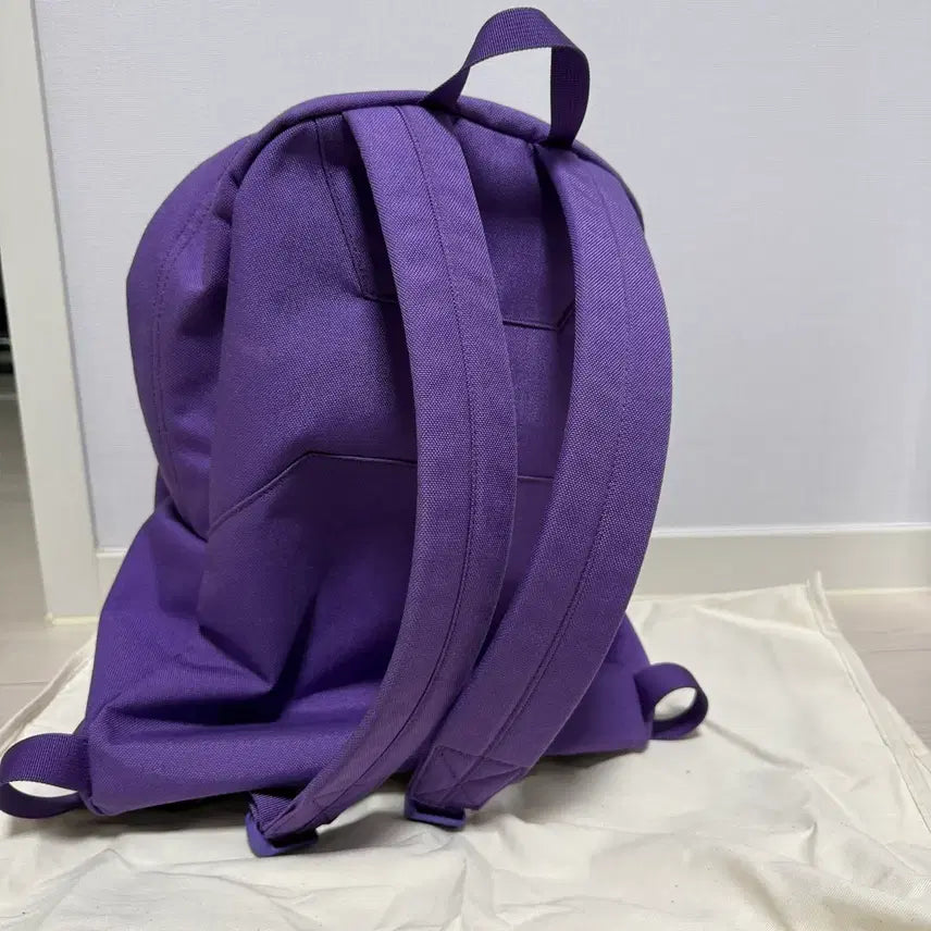 [SOLD OUT] 비즈빔 코듀라 럭색 22L 백팩 퍼플