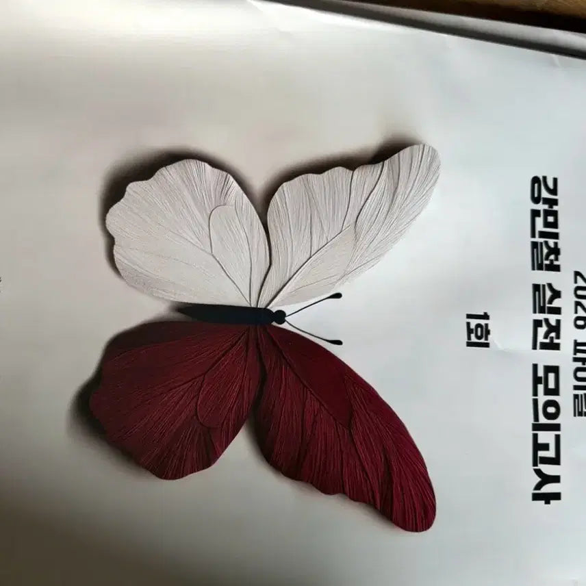 [SOLD OUT] 2026 강민철 파이널