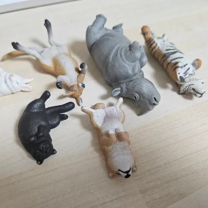 [BUNJANG] Gacha Sleeping Animals Figures Series 4 Bundle Set / (일괄) 가챠 잠자는 동물 피규어 4탄