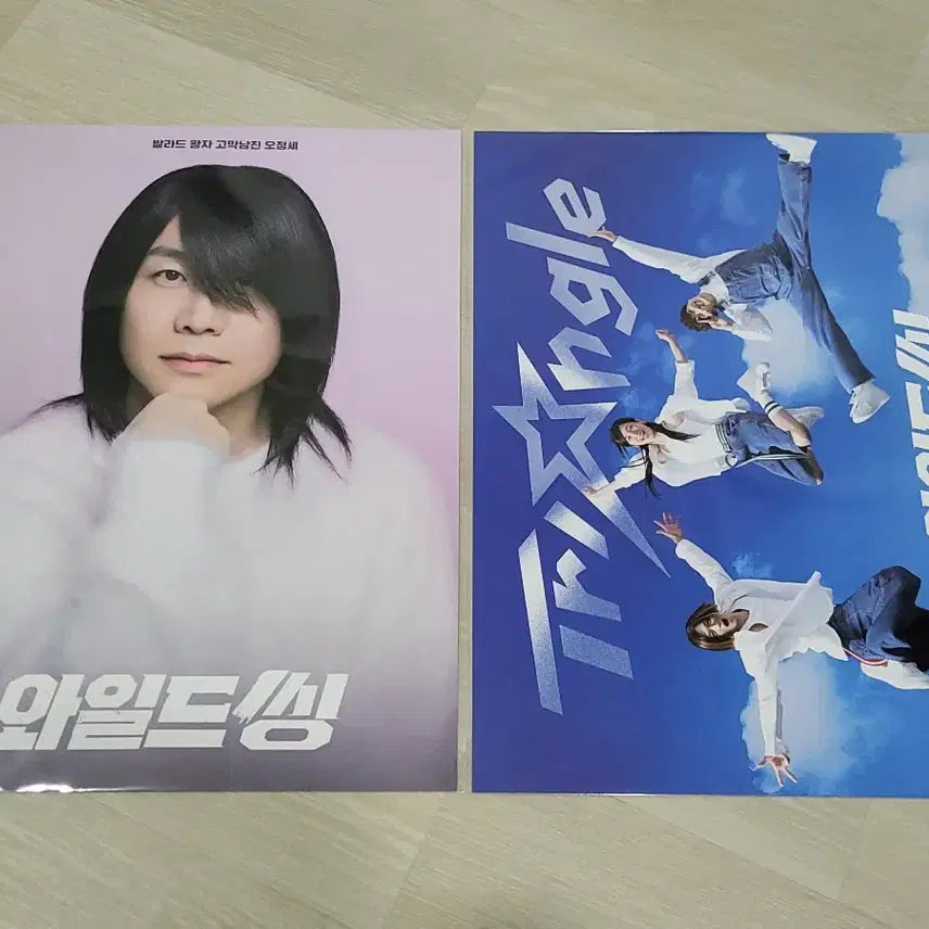 [BUNJANG] Wild Thing Poster 2 Types Set / [전용박스 안전포장] 와일드씽 포스터 2종 세트