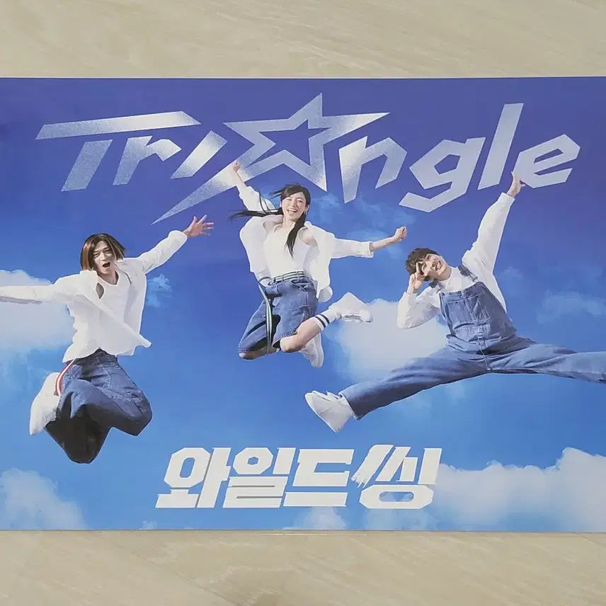 [BUNJANG] Wild Thing Poster 2 Types Set / [전용박스 안전포장] 와일드씽 포스터 2종 세트