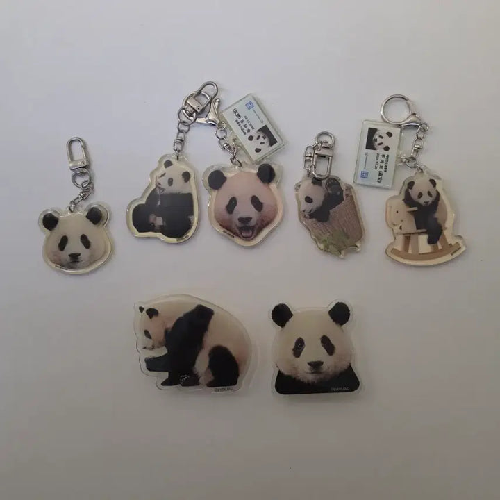 [BUNJANG] FuBao Keyring Grip Tok Bundle / 푸바오 키링 그립톡(일괄)