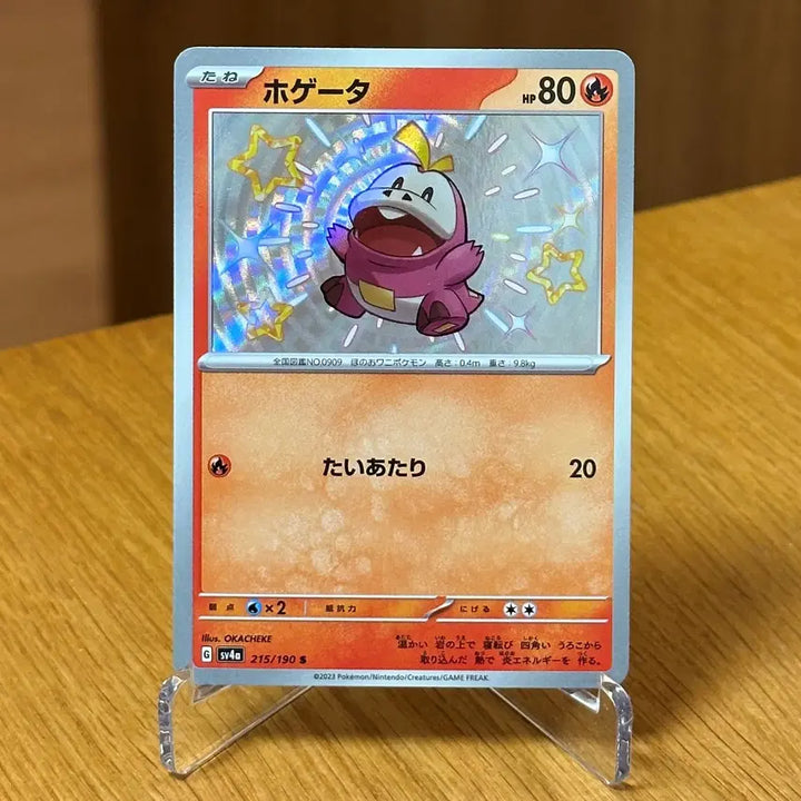 [BUNJANG] Pokemon Shiny Larvesta 215/190 Japanese / (일판) 포켓몬 이로치 뜨아거 215/190