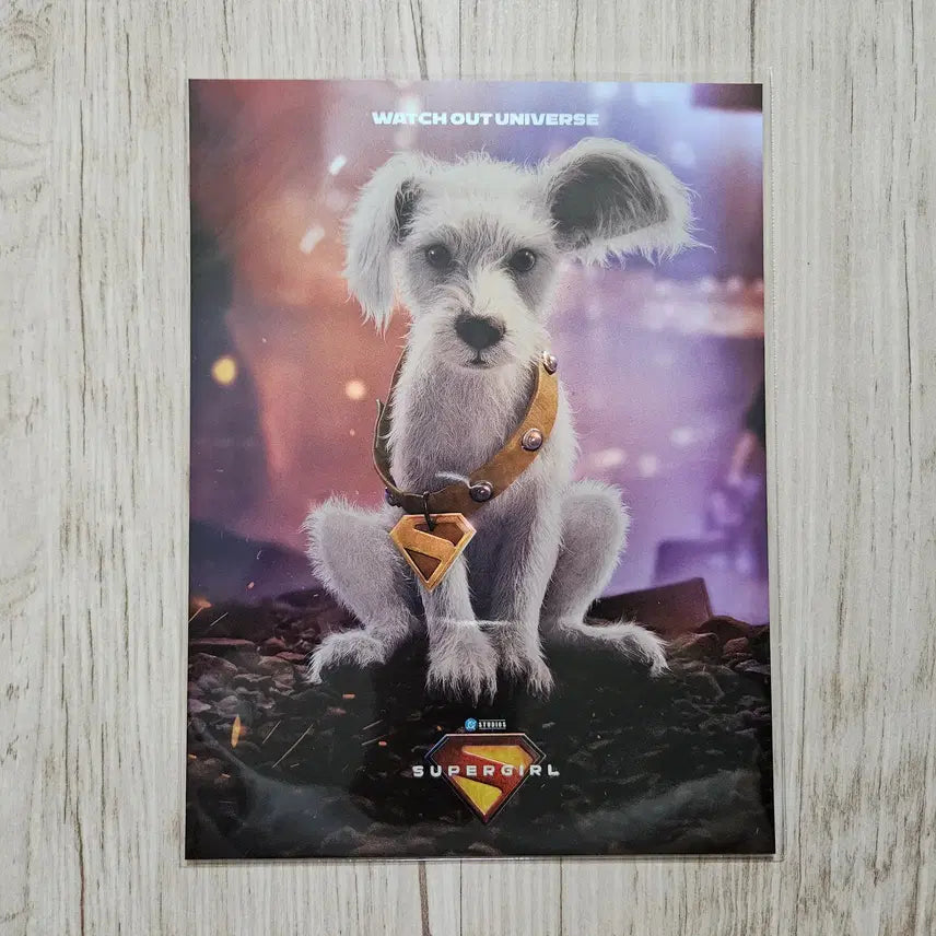 [BUNJANG] 301 (Supergirl) Art Card / 301 (슈퍼걸) 아트카드