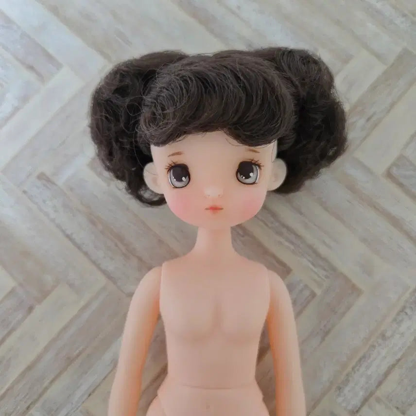 [BUNJANG] Aloca 6-1 Doll / (육일돌) 알로카