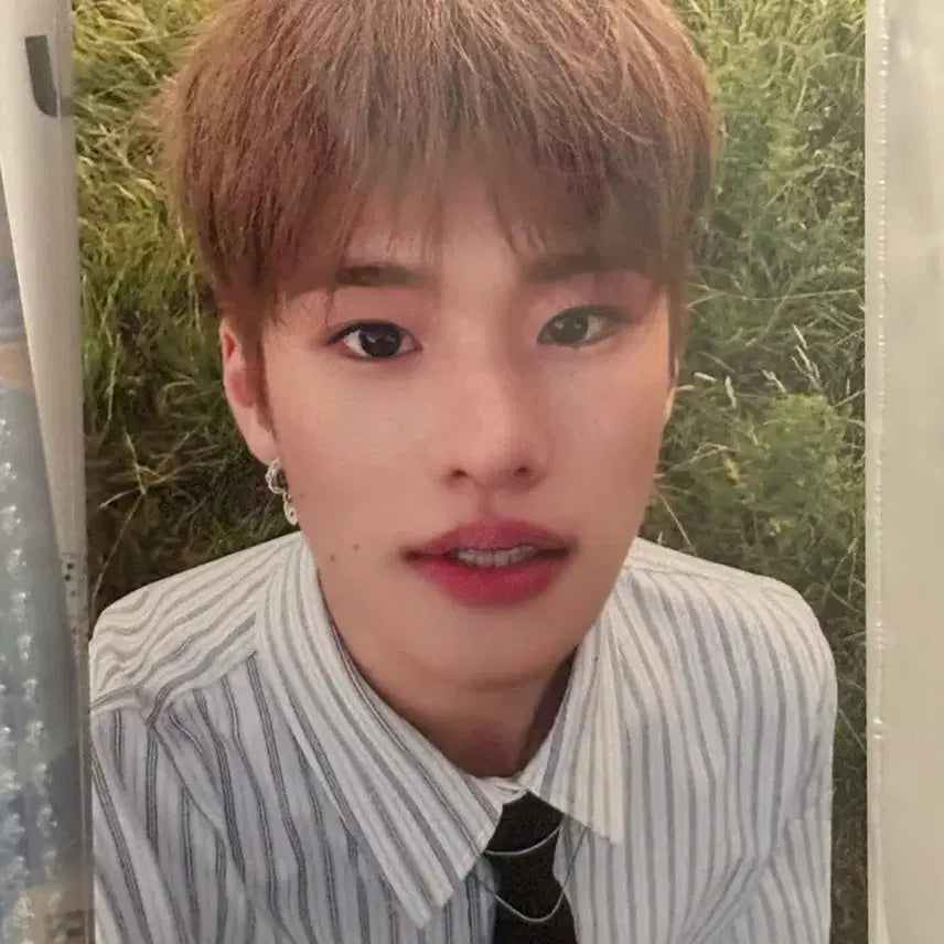 [BUNJANG] ROSEHEE FAME MEKMESSAGE Photocard / 소희 fame 메이크스타 포카양도