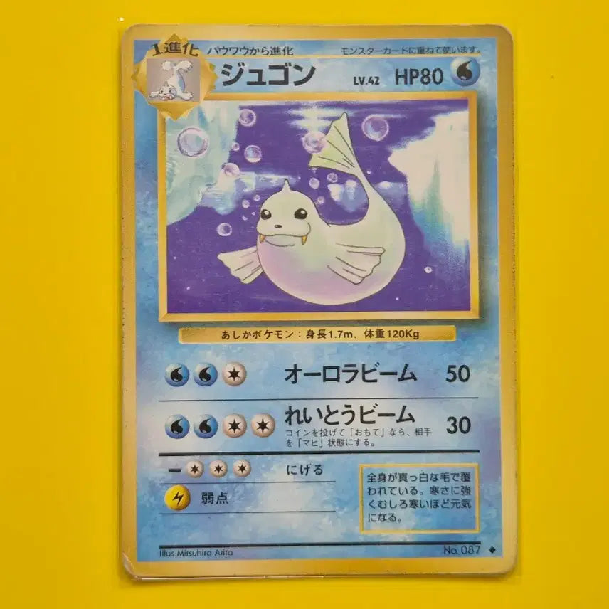 [BUNJANG] Pokemon Card 1996 Japanese First Edition Collection / 5개상품 포켓몬카드 1996 초기카드 일판 일본판 소장용 앨범용 1
