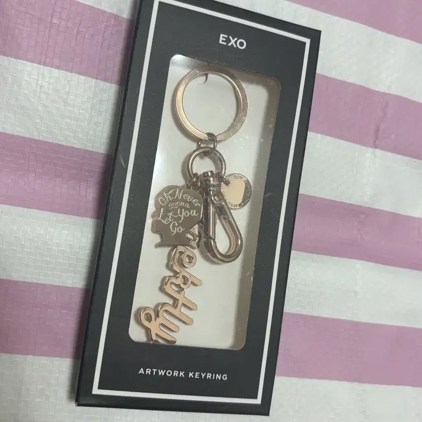 [BUNJANG] Baekhyun Silhouette Artworks Keychain / 백현 실루엣 아트웍 키링