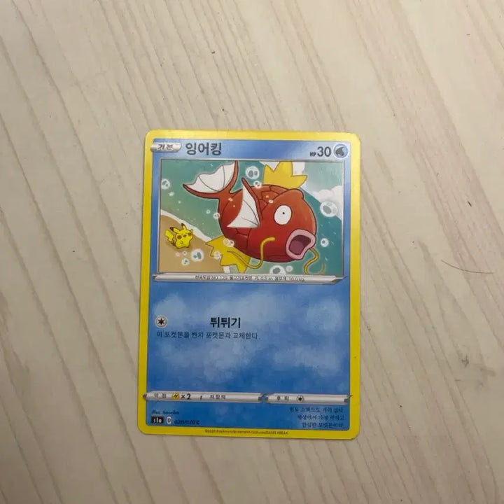 [BUNJANG] Pokemon Magikarp Card / 포켓몬 카드 잉어킹