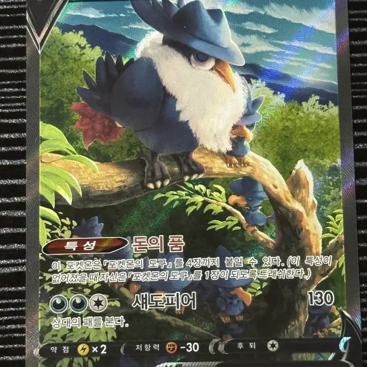 [BUNJANG] Pokemon Card Donkrow V 130/109SR / 포켓몬 카드 돈크로우 V 130/109SR