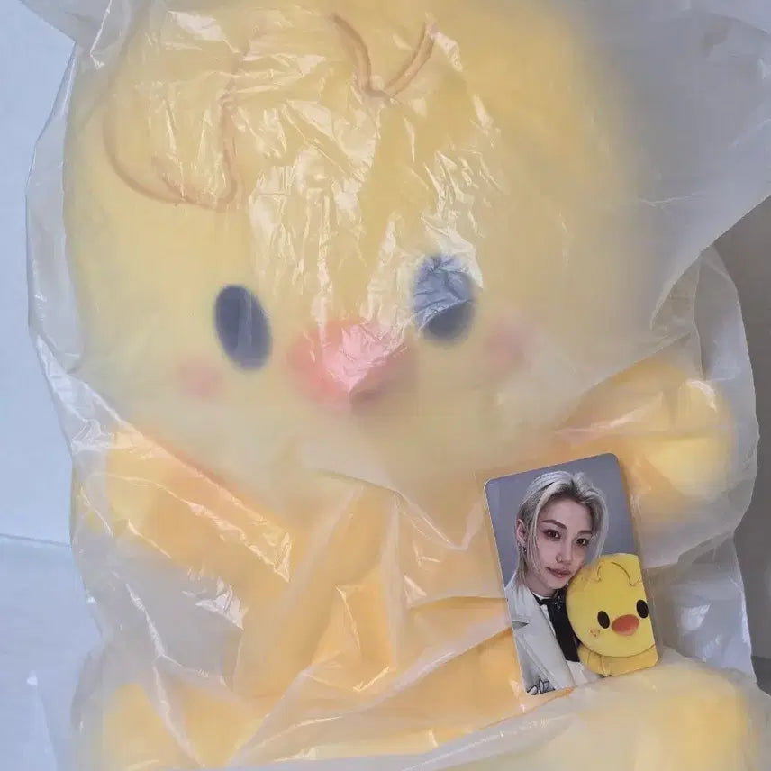[BUNJANG] SKZOO Hug Me Ppokari Plush Photocard / 스키주 허그미 뽁아리