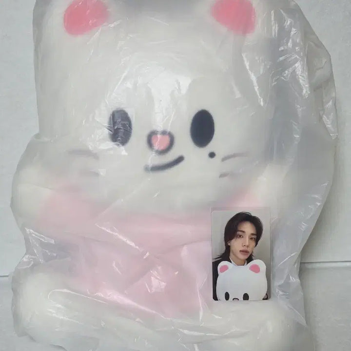[BUNJANG] SKZOO Leebit Hug Me Doll and Photocard Set / 스키주 지니렛 허그미