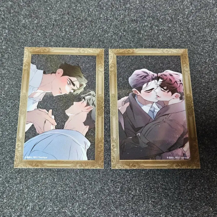 [BUNJANG] The Finder Relationship DTR Tunick Transparent Photocard Set / 디파인더릴레이션십 투니크 투명 포카