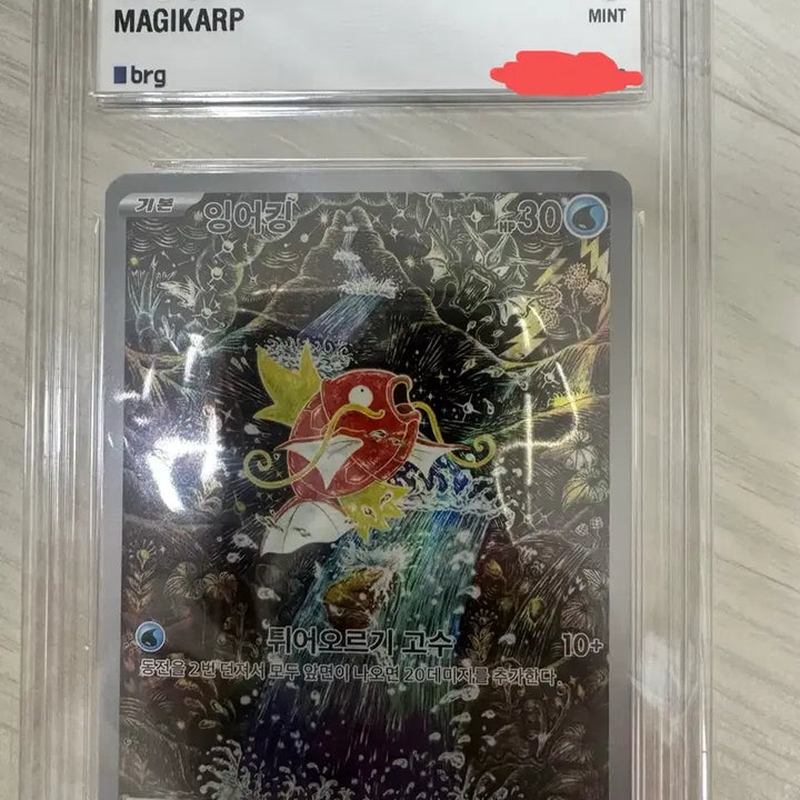 [BUNJANG] Pokemon Magikarp AR Card / 포켓몬카드 잉어킹ar 9등급