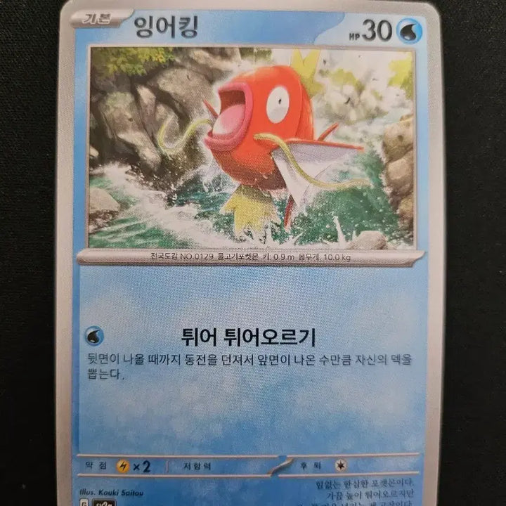 [BUNJANG] Pokemon Card Magikarp Korean Version / 포켓몬 카드 잉어킹 한글판 카드 판매합니다.