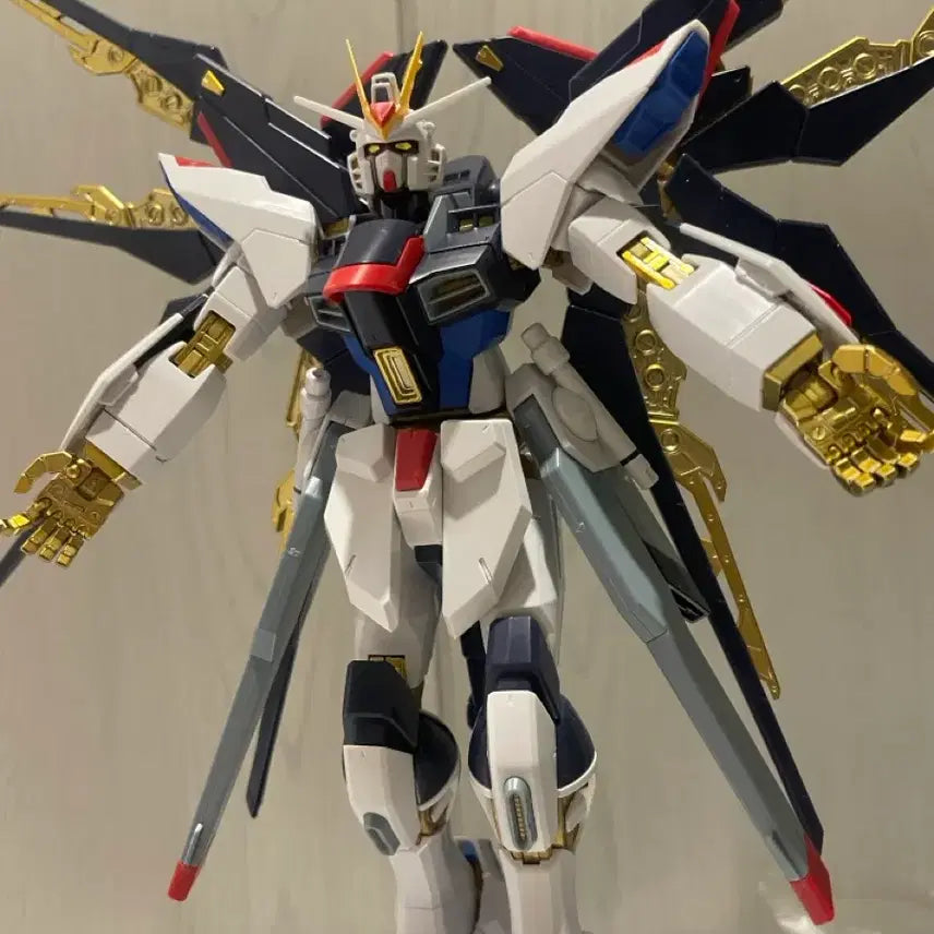 [BUNJANG] Gundam MG Strike Freedom Full Burst Mode / 건담 mg 스트라이크 프리덤 풀버스트 모드