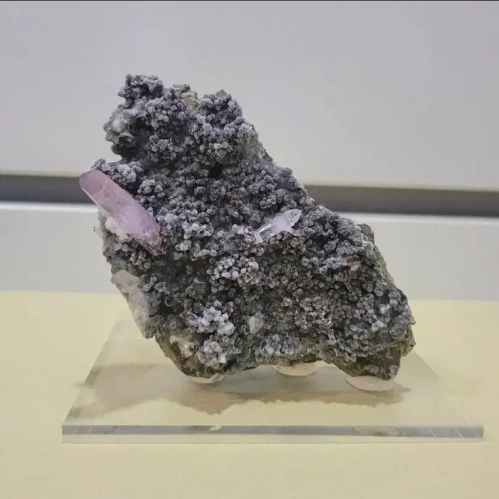 [BUNJANG] Amethyst &amp; Grape Chalcedony Symbiotic Specimen / 자수정 &amp; 포도마노 희귀 공생 표본