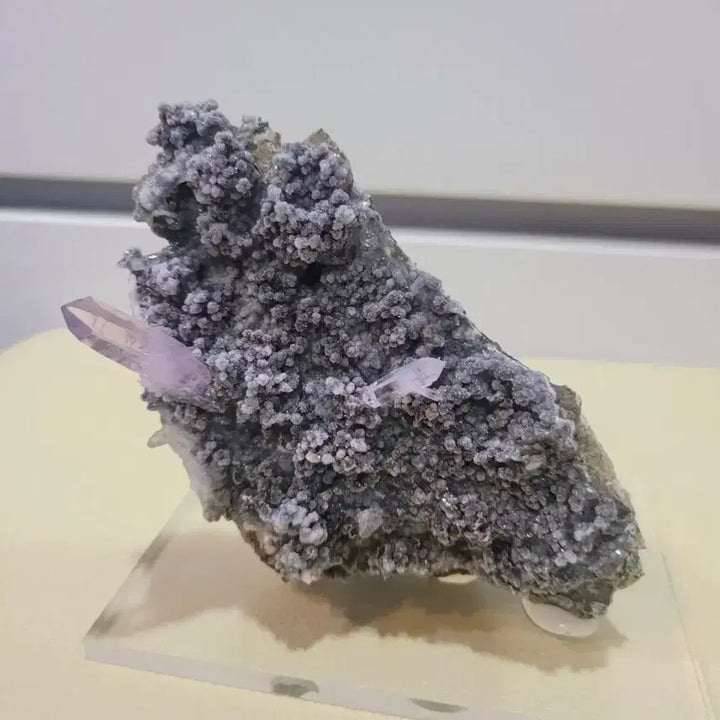 [BUNJANG] Amethyst &amp; Grape Chalcedony Symbiotic Specimen / 자수정 &amp; 포도마노 희귀 공생 표본