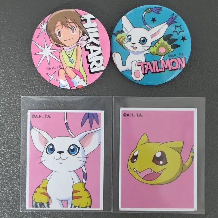 [BUNJANG] Digimon Adventure Kari Kamiya Gatomon Nyaromon Proof Photo &amp; Can Badge Set / 디지몬 디지몬어드벤처 신나리 가트몬 야옹몬 증명사진 증사 캔뱃지 판매