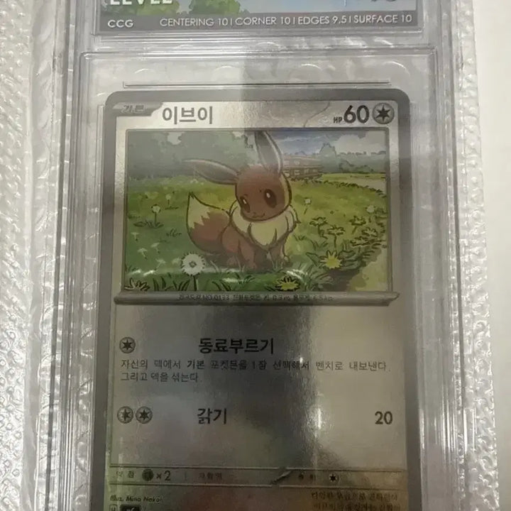[BUNJANG] Pokemon Card Eevee CCG Graded GEM MINT 10 / 포켓몬카드 이브이 CCG 10등급 오늘만 이가격