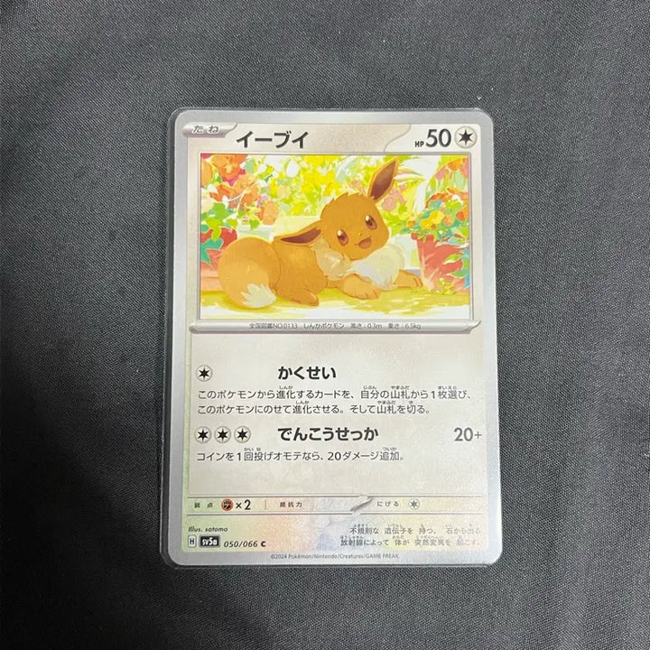 [BUNJANG] Eevee Crimson Haze 