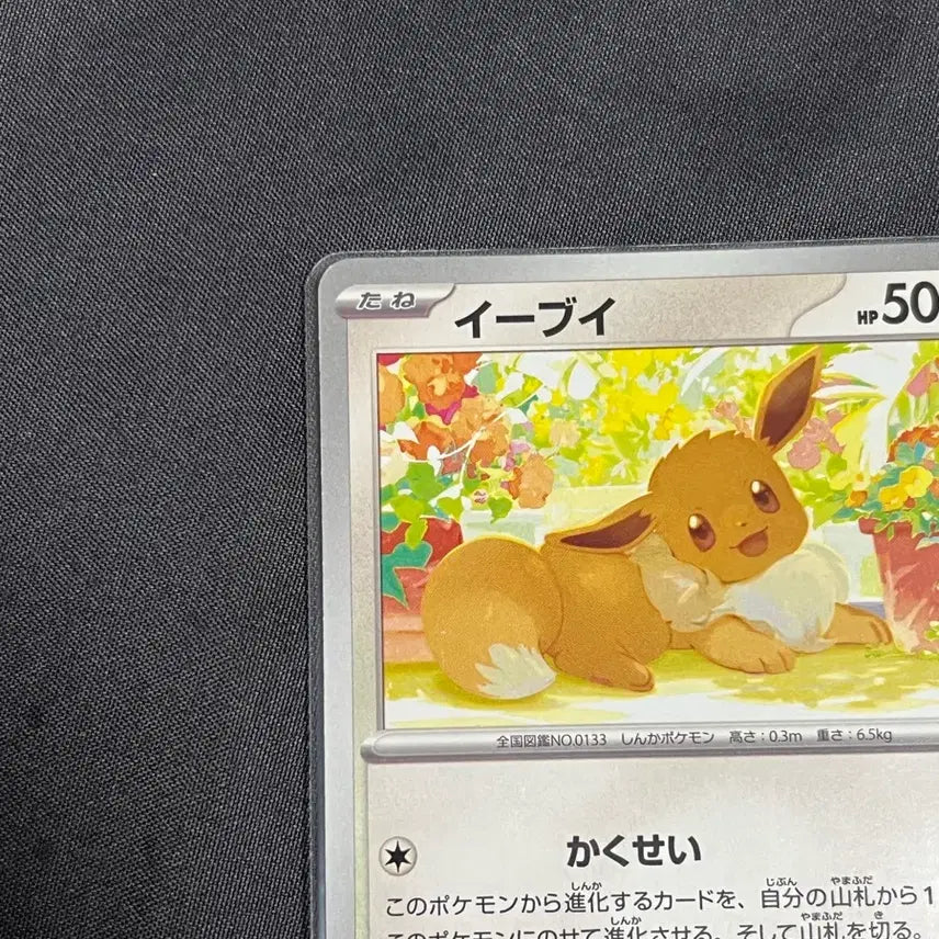 [BUNJANG] Eevee Crimson Haze 