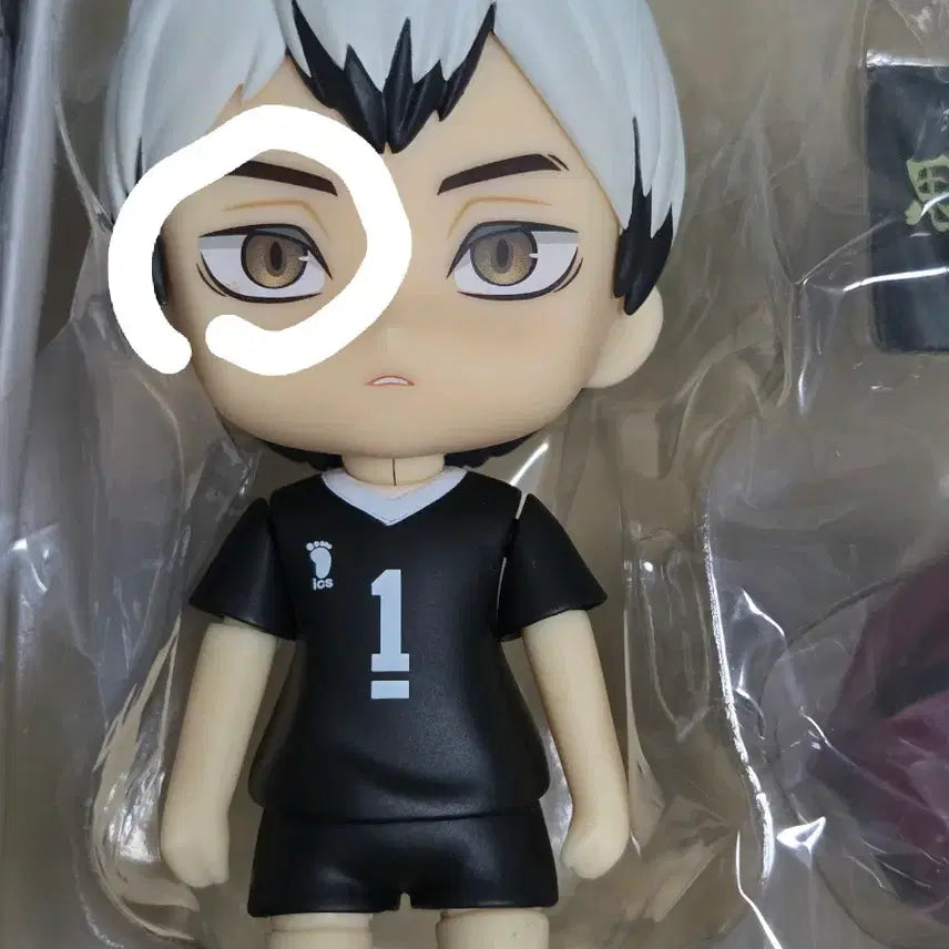 [BUNJANG] Haikyu!! Kita Shinsuke Nendoroid / 하이큐 키타 넨도로이드