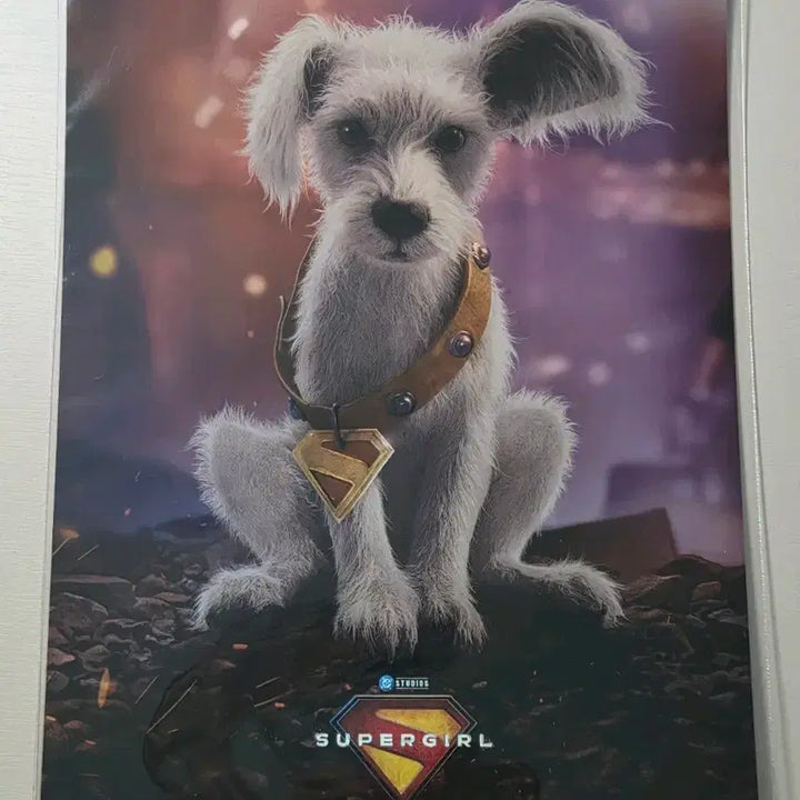 [BUNJANG] Lotte Cinema Supergirl Signature Art Card / 롯데시네마 슈퍼걸 시그니처 아트카드
